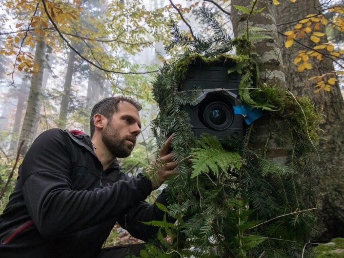 Naturfotograf beim Aufbau einer Fotofalle für Bären, Slowenien