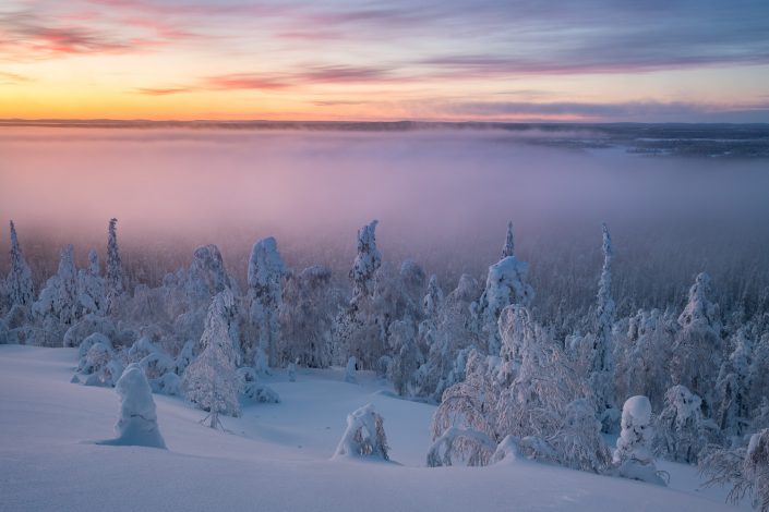 Winterlandschaft mit Lichtstimmung in Luosto, Finnland
