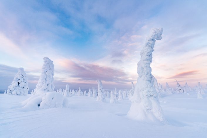 verschneite Landschaft im Riisitunturi Nationalpark, Finnland
