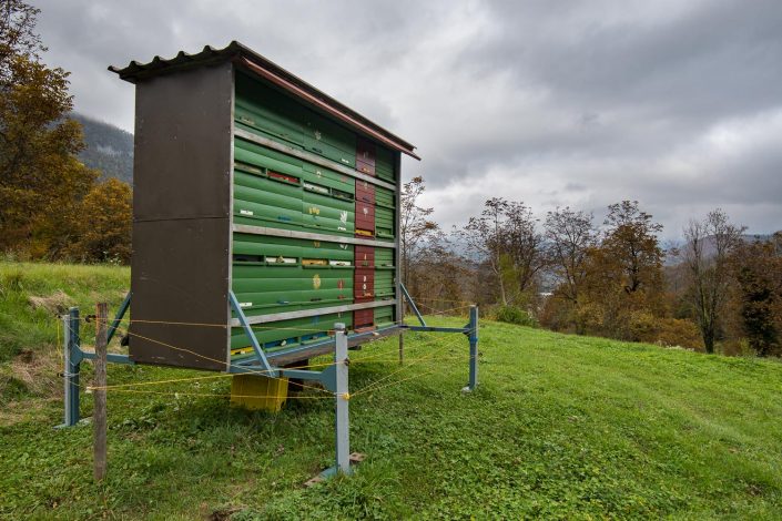 Bienenstock mit Elektrozaun geschützt