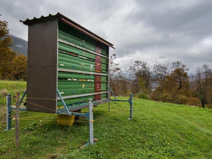 Bienenstock mit Elektrozaun geschützt
