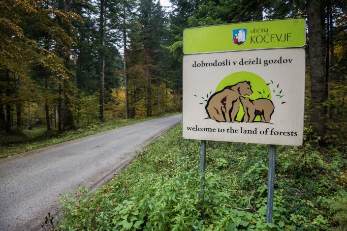 Straße mit Hinweisschild, Bären in Slowenien