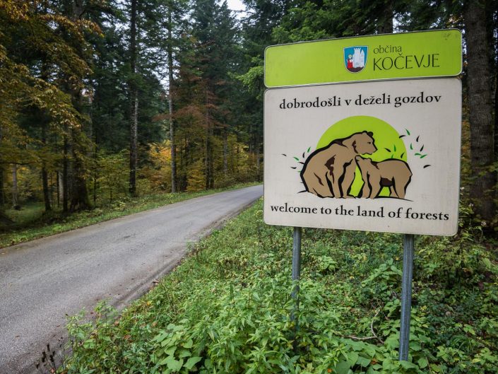 Straße mit Hinweisschild, Bären in Slowenien