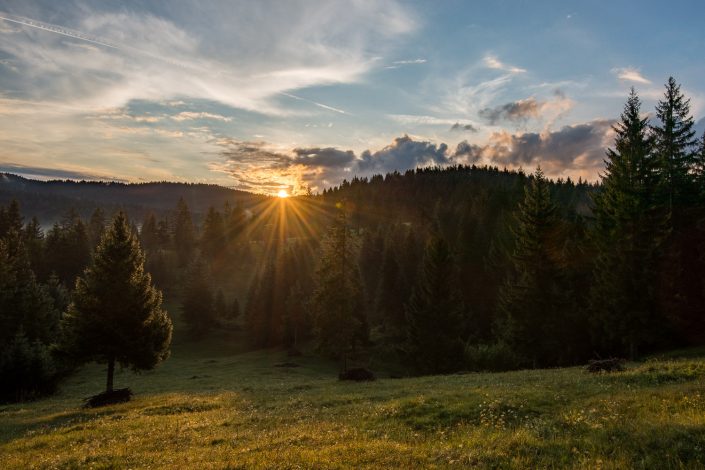 Landschaft in Südslowenien, Notranjska Region