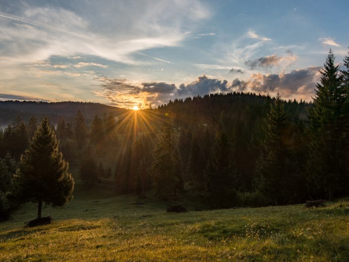 Landschaft in Südslowenien, Notranjska Region