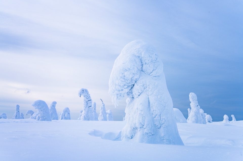 Finnland - Wintertraum in Lappland