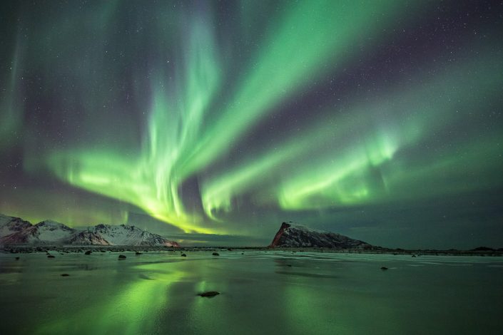 Nordlicht über zugefrorenem Fjord auf den Lofoten