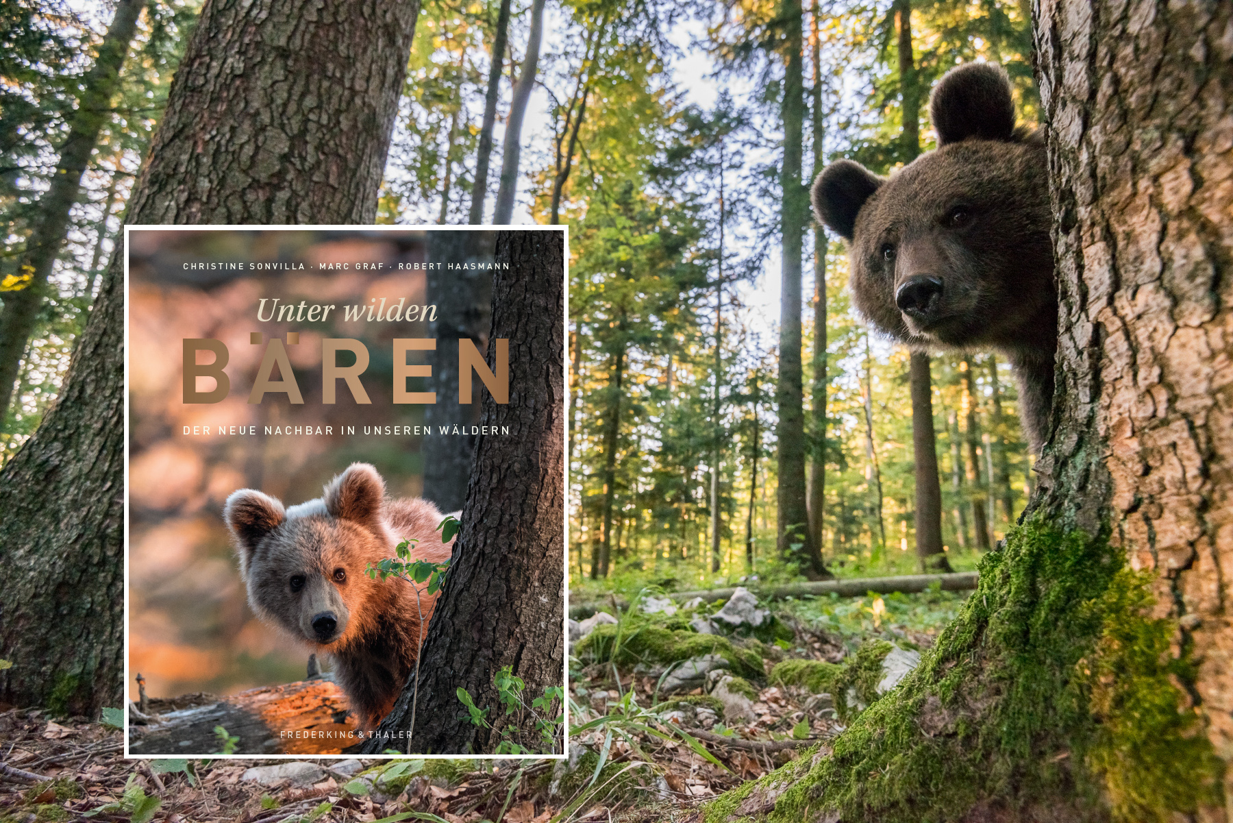 Bärenbuch