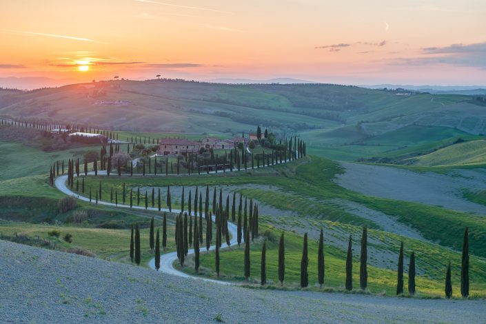 Zypressenalle mit Landgut, Crete Senesi