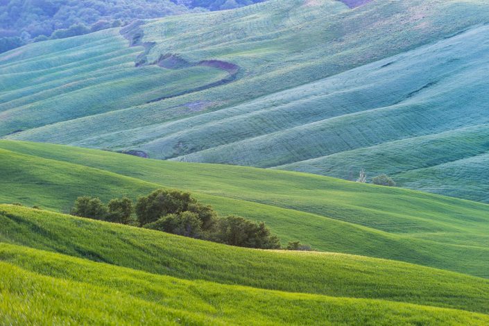 Hügelige Landschaft