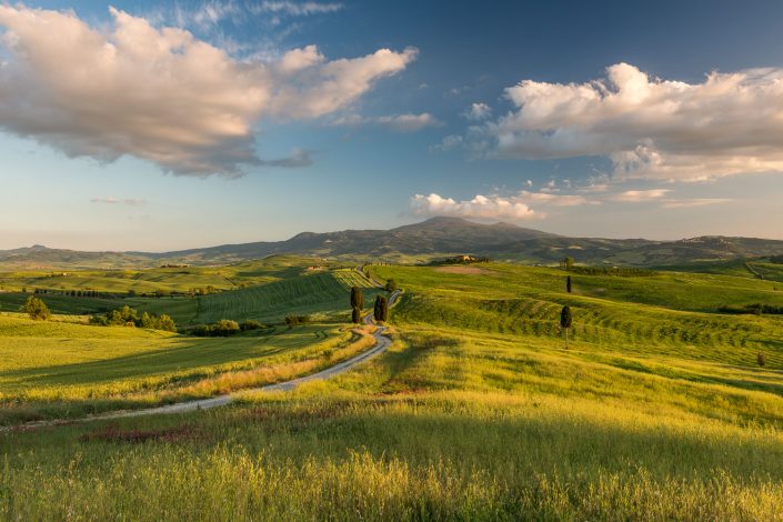 Landschaft bei Pienza