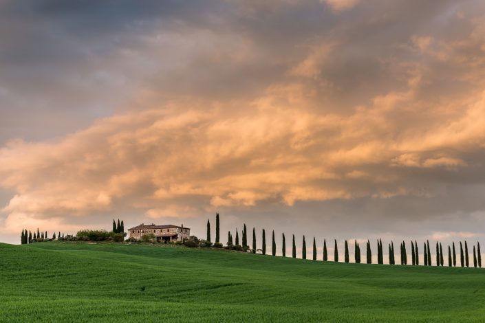 Landgut mit Zypressenalle, Toskana, Italien