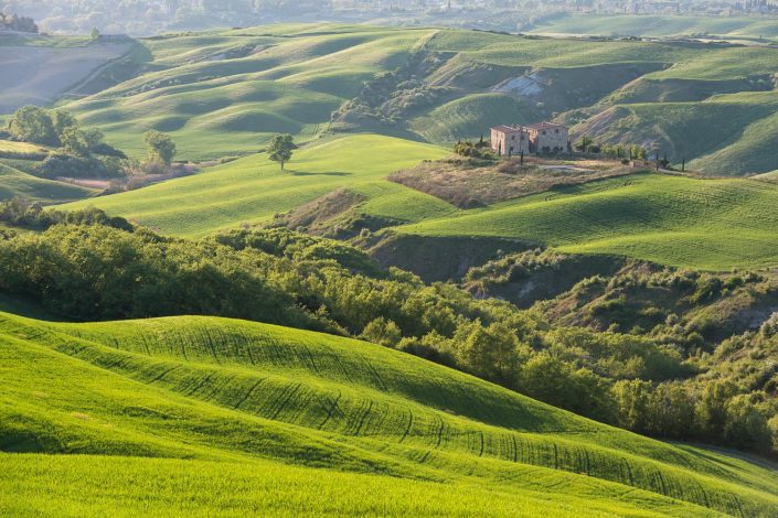 Hügelige Landschaft, Toskana, Italien
