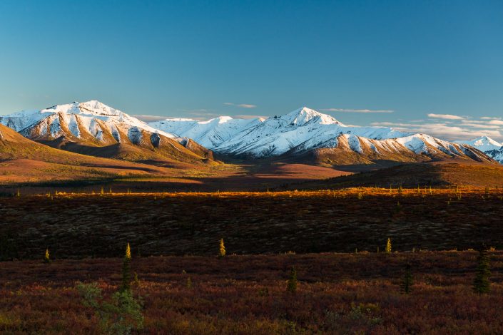 Herbst im Denali Nationalpark, Alaska