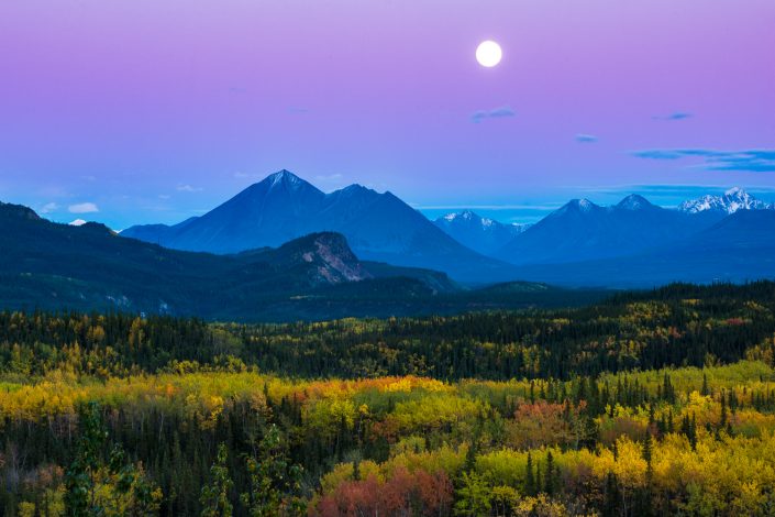 Indian summer in Alaska, Denali Nationalpark