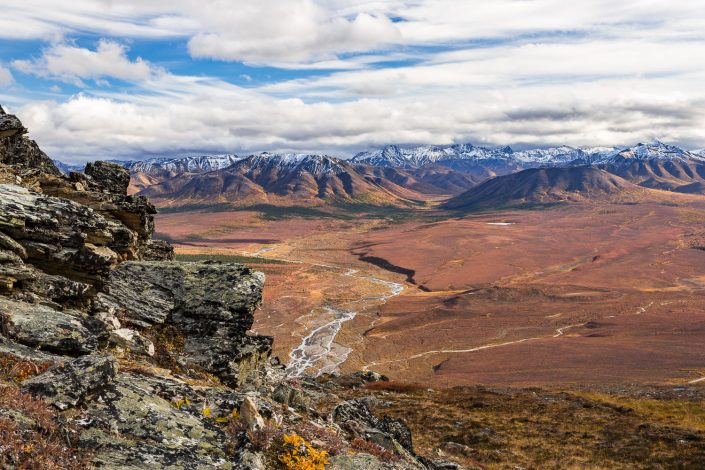 herbstliche Landschaft im Denali Nationalpark, Alaska