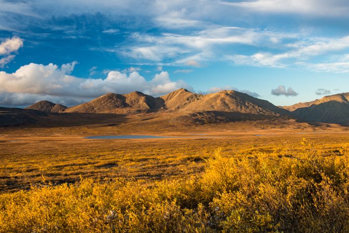 Landschaft entlang des Denali Highway im Herbst, Alaska