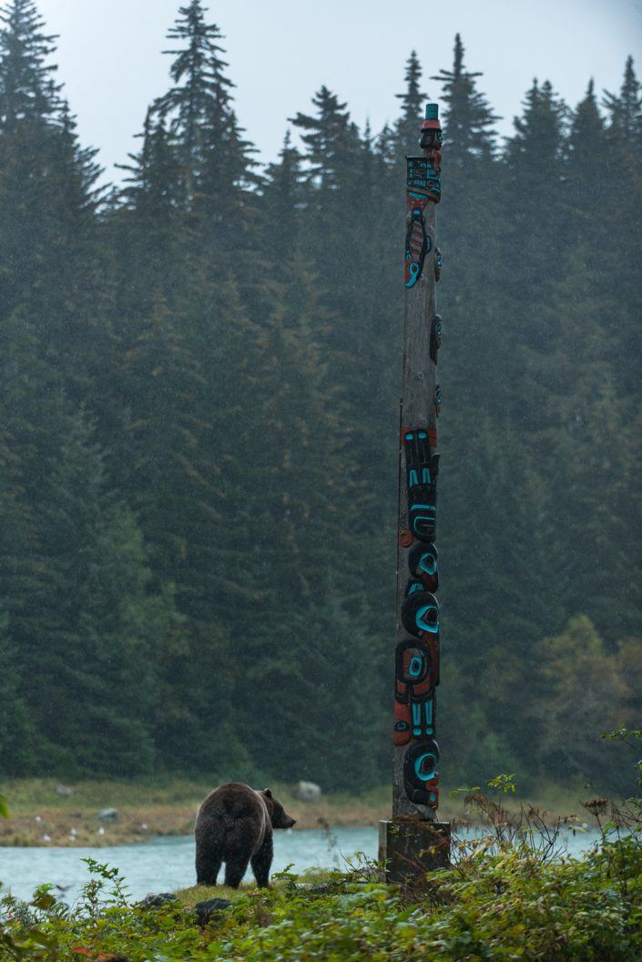 Bär neben Totempfahl, Chilkoot river, Haines, Alaska