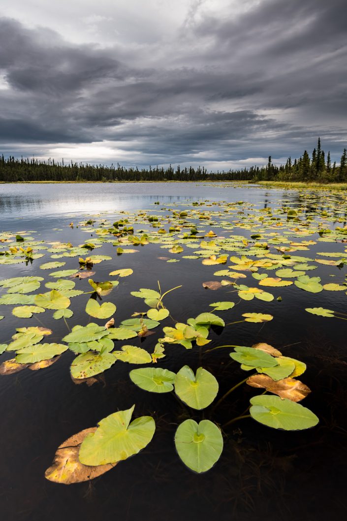 See in der Brooks Range, Alaska