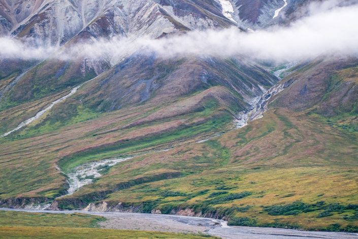 Landschaft im Denali Nationalpark