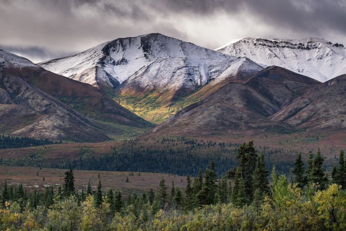 herbstliche Landschaft, Zentralalaska, USA