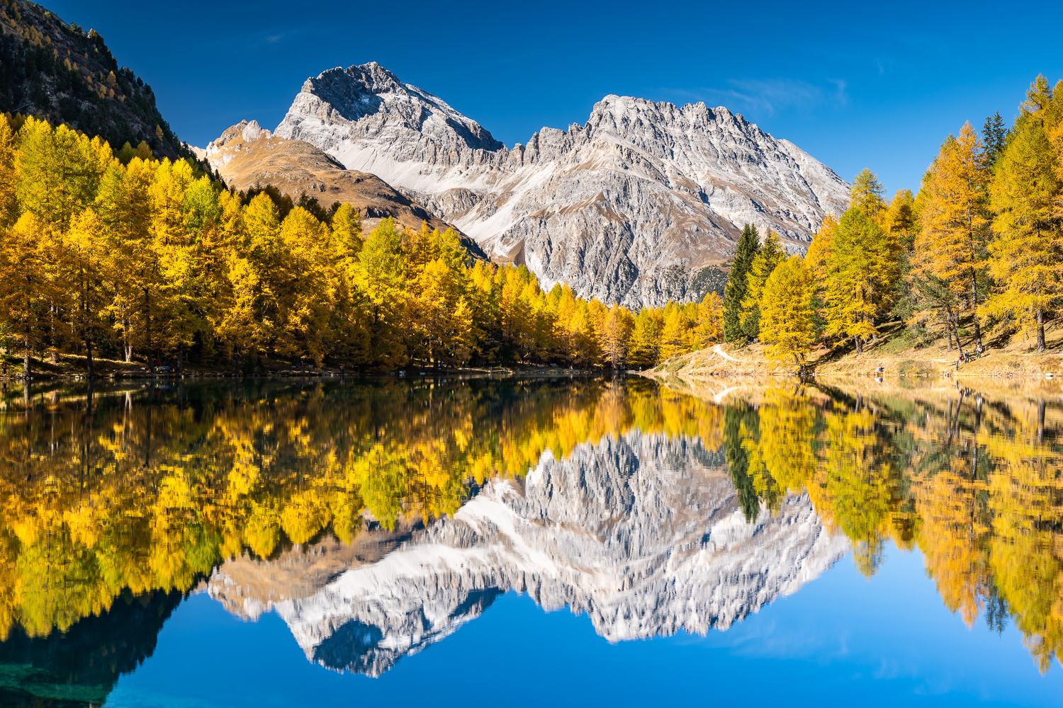 Herbstlicher Palpuognasee mit Spiegelung, Albulapass, Engadin