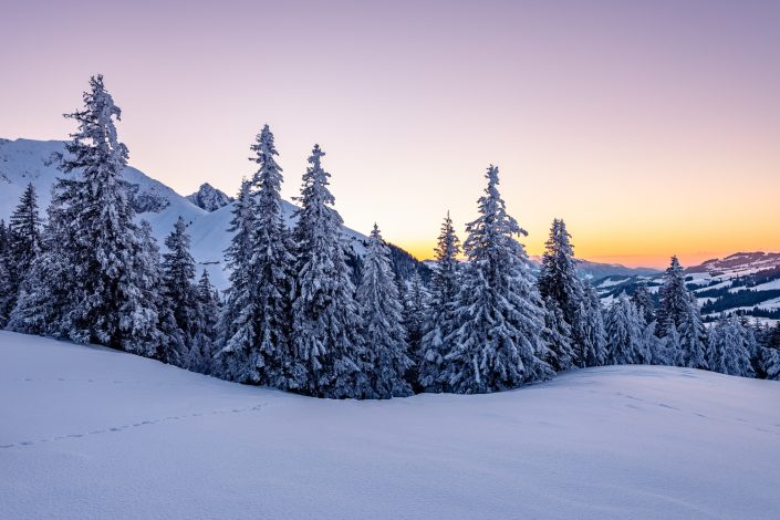 Verschneite Winterlandschaft, Gantrisch, Schweiz