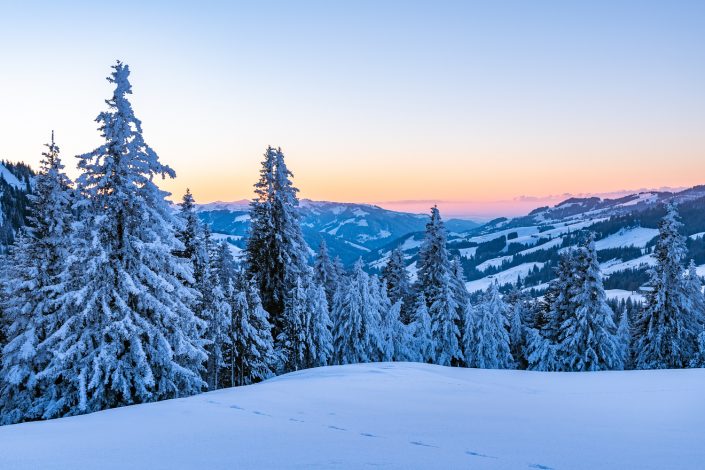 Verschneite Winterlandschaft, Gantrisch, Schweiz
