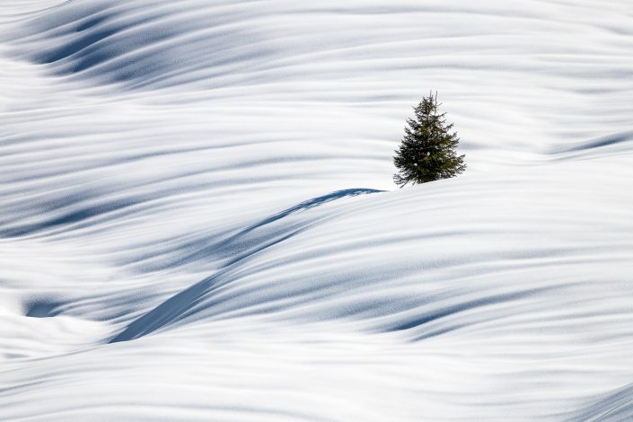 Einzelner Baum in Schneelandschaft, Schweiz