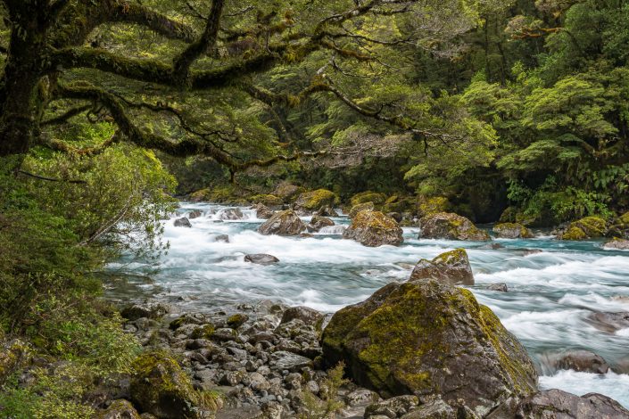 Fluss im Fiordland Nationalpark, neuseeland