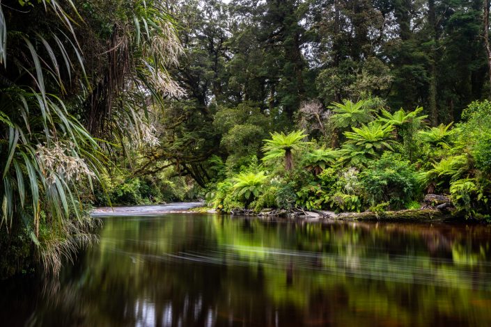 Fluss und Regenwald im Kahurangi Nationalpark