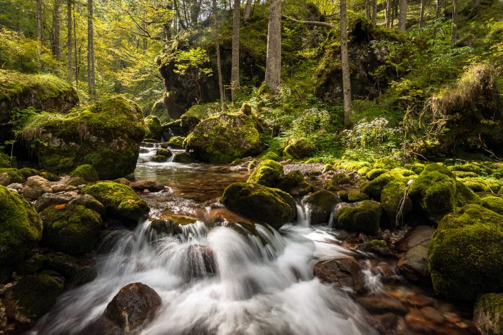 Bach im Hartelsgraben, Nationalpark Gesäuse, Alpen