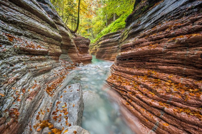 Taugl fließt durch roten Canyon, Herbst, Salzburg