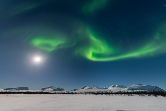 Nordlicht im verschneiten Abisko Nationalpark