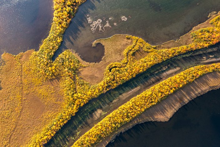 herbstliches Flussdelta, Nikkaluokta, Lappland, Schweden