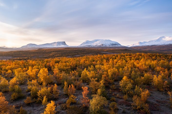 Indian summer im Abisko Nationalpark, Lapporten