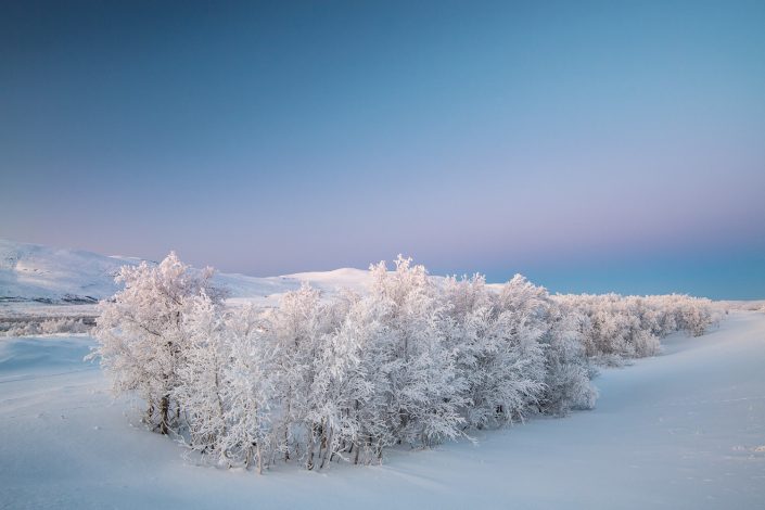 eisige Winterlandschaft, Kilpisjärvi, Finnland