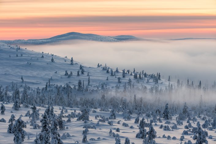 Winterlandschaft im Pallastunturi Nationalpark, Lappland, Finnland