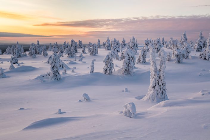Verschneite Tundra Landschaft, Riisitunturi Nationalpark, Finnland