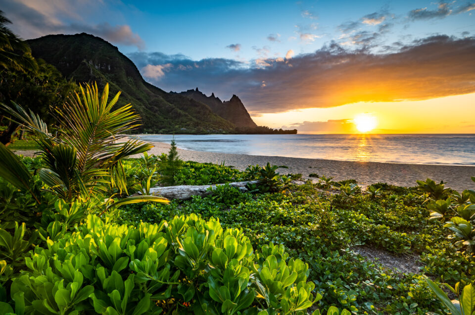 Hawaii - Naturfotografie auf Kauai und Maui