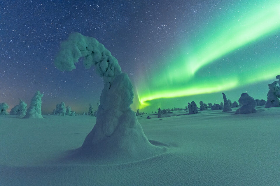 Nordlicht im Riisitunturi Nationalpark