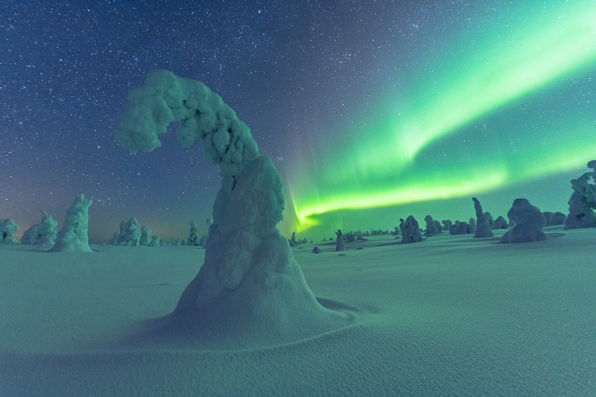 Nordlicht im Riisitunturi Nationalpark, Finnland
