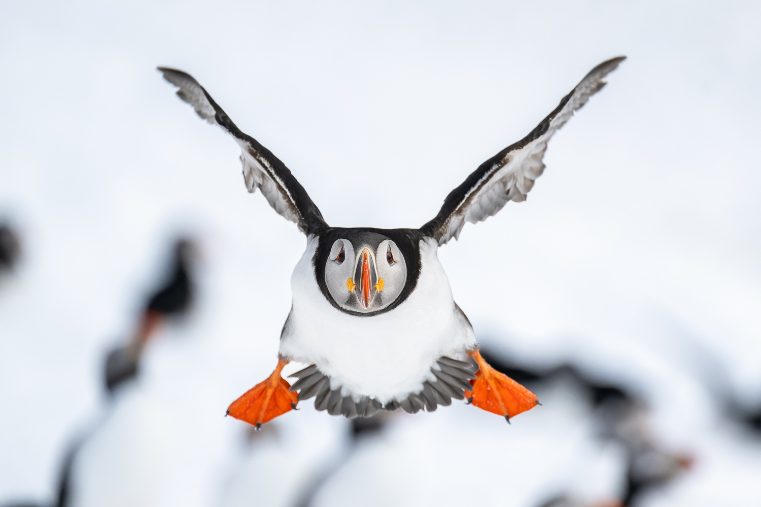 Fotoreise Varanger